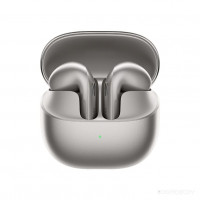 Buds 6 (Titan Gray) (M2540E1)