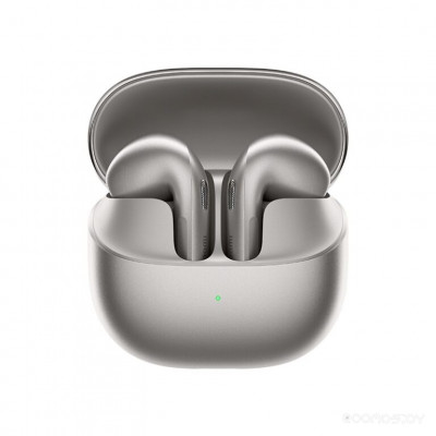 Buds 6 (Titan Gray) (M2540E1)