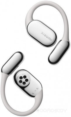 OpenWear Stereo M2503E1 (титановый серый, международная версия)