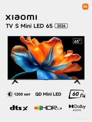 TV S Mini LED 2026 (L65MС-SRU) (ELA6468RU)