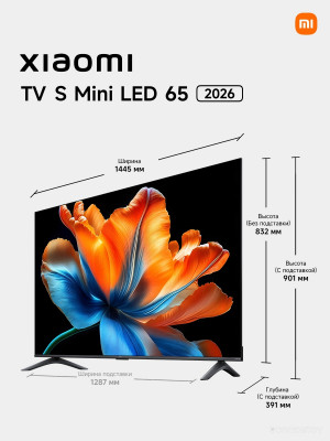 TV S Mini LED 2026 (L65MС-SRU) (ELA6468RU)