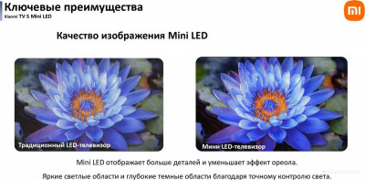 TV S Mini LED 65" 2025 (международная версия)