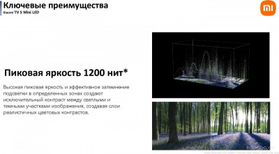 TV S Mini LED 65" 2025 (международная версия)