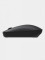 Wireless Mouse Lite BHR6099GL